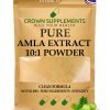 Pure Amla Extract Powder