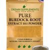 Pure Burdock Root Extract Powder