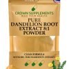 Pure Dandelion Root Extract Powder