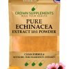 Pure Echinaceaa Extract Powder