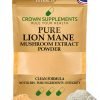 Pure Lion's Mane Mushroom Extract Powder