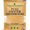 Pure Oyster Mushroom Extract Powder