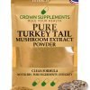 Pure Turkey Tail Extract Powder